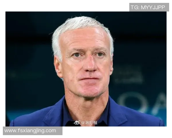 法国足协世界杯后公布新主帅人选:是传承还是革新? 法国足协世界杯后公布新主帅人选:是传承还是革新?